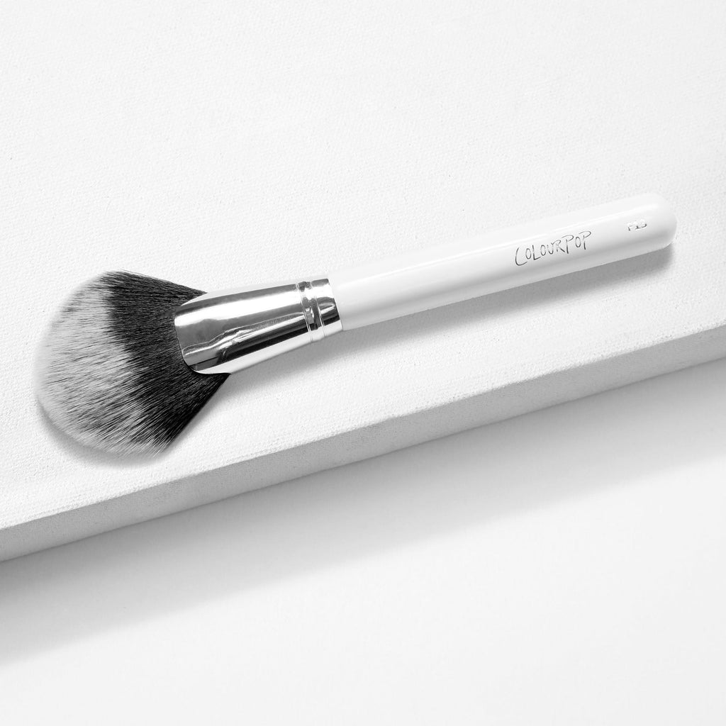Full Fan Face Brush